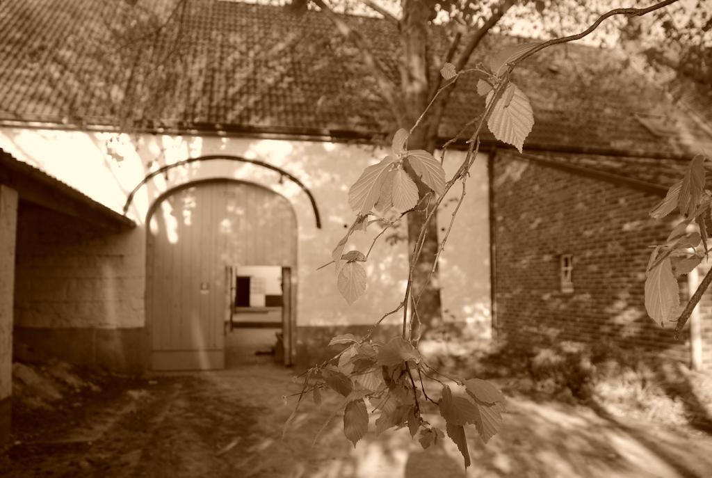 ريمست B&B De Oude Winning المظهر الخارجي الصورة